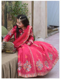 Elegant Block Printed Raw Silk Lehenga Choli For Girls