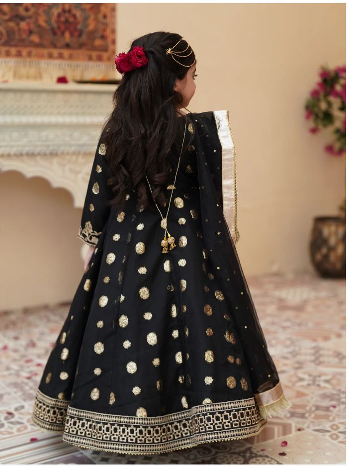 Elegant Banarsi Organza Maxi with Sitara Net Dupatta For Girls