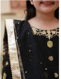 Elegant Banarsi Organza Maxi with Sitara Net Dupatta For Girls