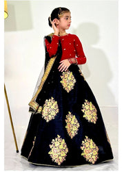 Elegant Embroidered Chiffon Lehenga Choli with Net Dupatta For Girls