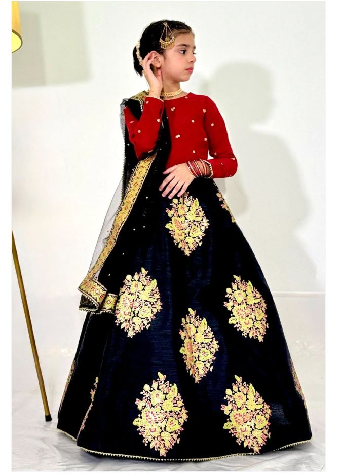 Elegant Embroidered Chiffon Lehenga Choli with Net Dupatta For Girls