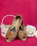 Empire Bold Leopard Print Khussa For Women