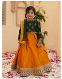 Elegant Screen Printed Chiffon Lehenga Choli For Girls