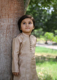 Khaki Brown Embroidered Raw Silk 2-Piece Suit for Boys