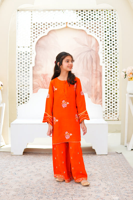 Luxury Embroidered Soft Raw Silk Shirt with Flapper & Net Dupatta For Girls