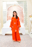 Luxury Embroidered Soft Raw Silk Shirt with Flapper & Net Dupatta For Girls