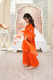 Luxury Embroidered Soft Raw Silk Shirt with Flapper & Net Dupatta For Girls