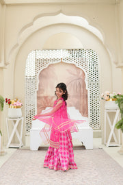 Embroidered Organza Shirt with Sitara Net Dupatta For Girls