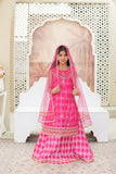 Embroidered Organza Shirt with Sitara Net Dupatta For Girls