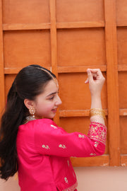 Embroidered Block Printed Raw Silk Lehenga Choli with Dupatta For Girls