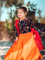 Embroidered Chiffon Lehenga Choli with Sitara Net Dupatta For Girls