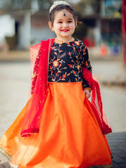 Embroidered Chiffon Lehenga Choli with Sitara Net Dupatta For Girls