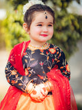 Embroidered Chiffon Lehenga Choli with Sitara Net Dupatta For Girls