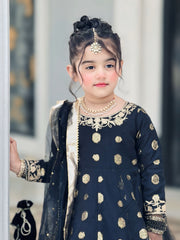 Banarsi Organza Maxi with Sitara Net Dupatta For Girls
