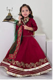 Elegant Embroidered & Block Printed Lehenga Choli For Girls