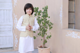 Off White Embroidered Waistcoat Suit For Boys