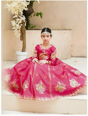 Royal Block Printed Raw Silk Lehenga Choli For Girls
