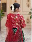 Royal Embroidered Raw Silk Lehenga Choli with Sitara Dupatta For Girls