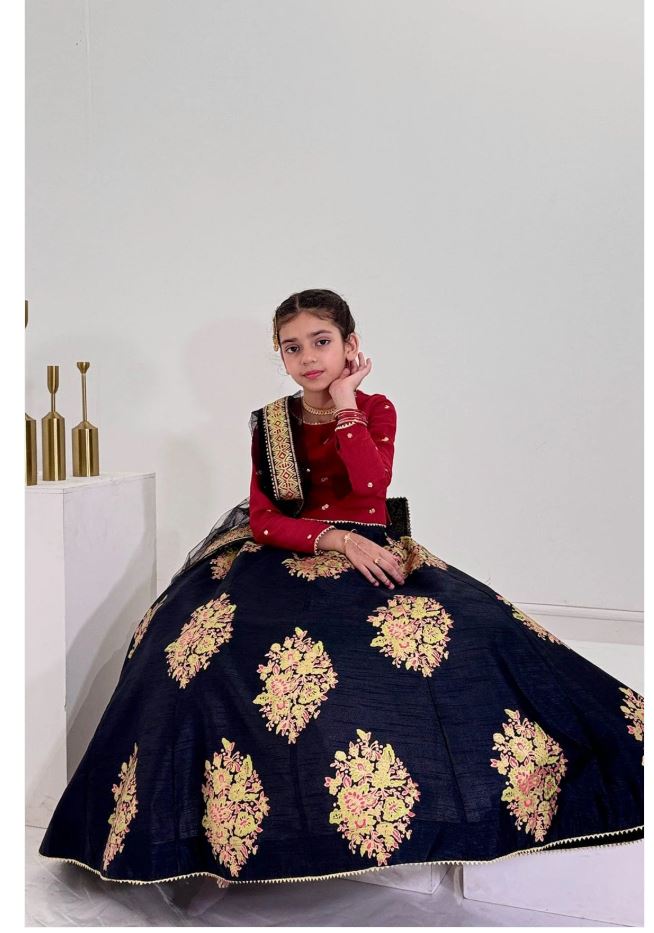 Elegant Embroidered Chiffon Lehenga Choli with Net Dupatta For Girls