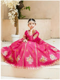 Royal Block Printed Raw Silk Lehenga Choli For Girls