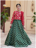 Royal Embroidered Raw Silk Lehenga Choli with Sitara Dupatta For Girls