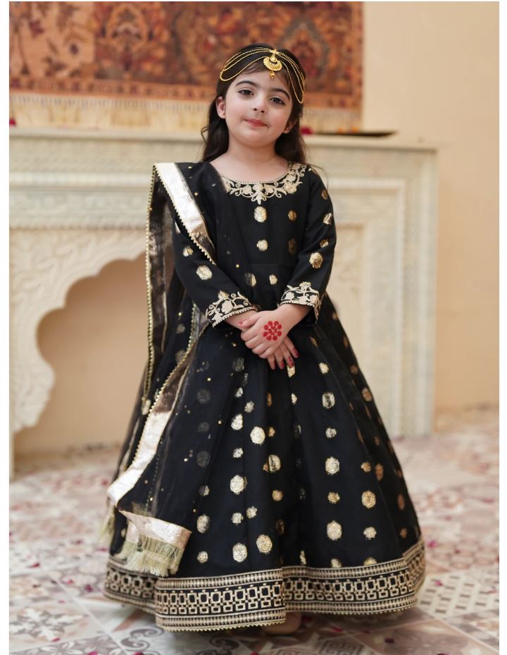 Elegant Banarsi Organza Maxi with Sitara Net Dupatta For Girls