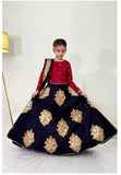Elegant Embroidered Chiffon Lehenga Choli with Net Dupatta For Girls