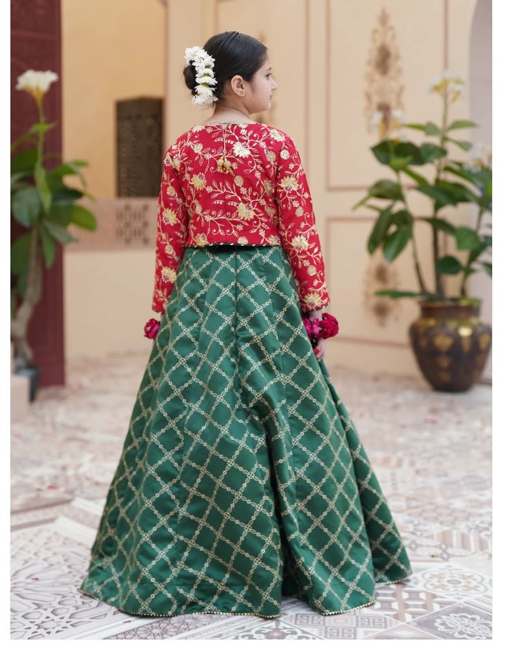 Royal Embroidered Raw Silk Lehenga Choli with Sitara Dupatta For Girls