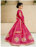 Royal Block Printed Raw Silk Lehenga Choli For Girls