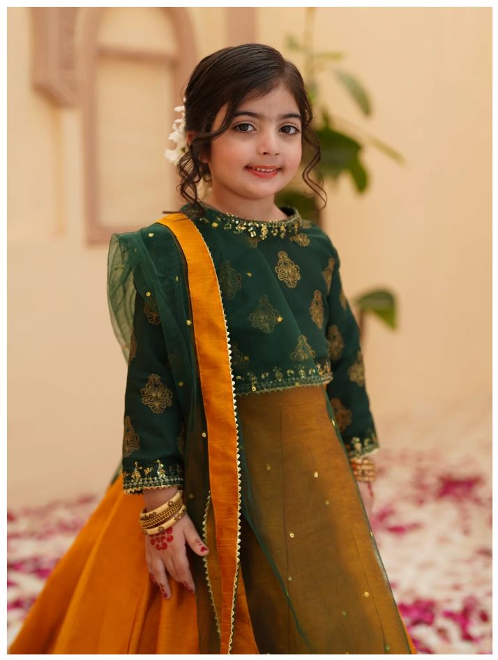 Elegant Screen Printed Chiffon Lehenga Choli For Girls