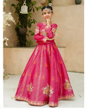 Royal Block Printed Raw Silk Lehenga Choli For Girls