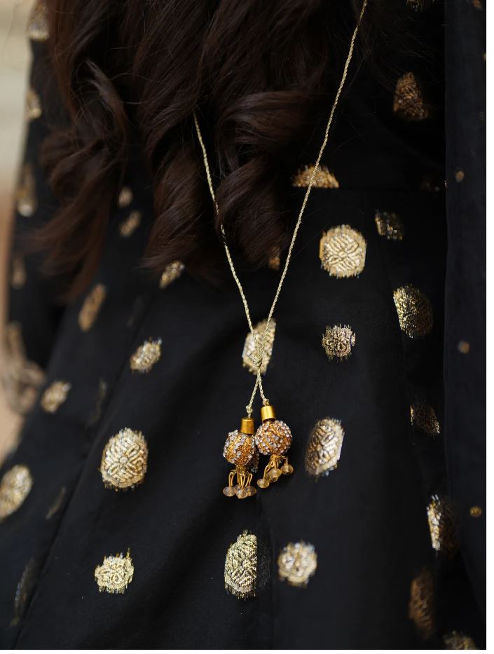 Elegant Banarsi Organza Maxi with Sitara Net Dupatta For Girls