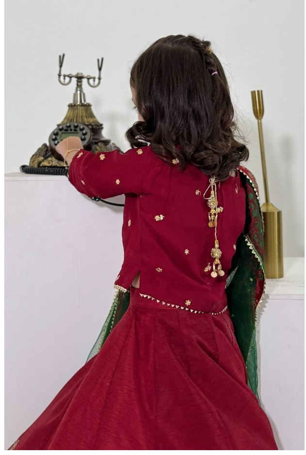 Elegant Embroidered & Block Printed Lehenga Choli For Girls