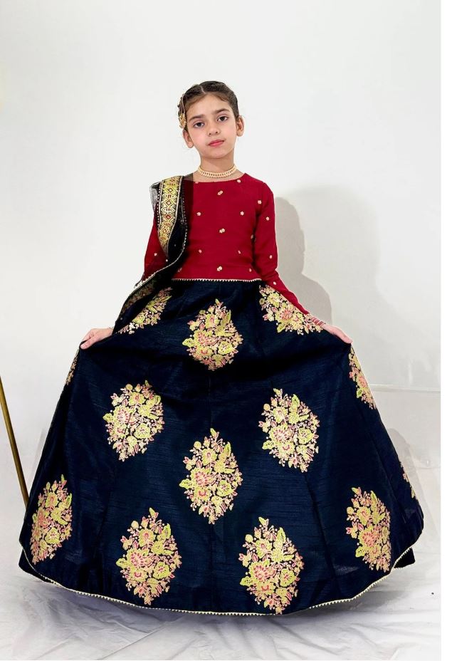 Elegant Embroidered Chiffon Lehenga Choli with Net Dupatta For Girls