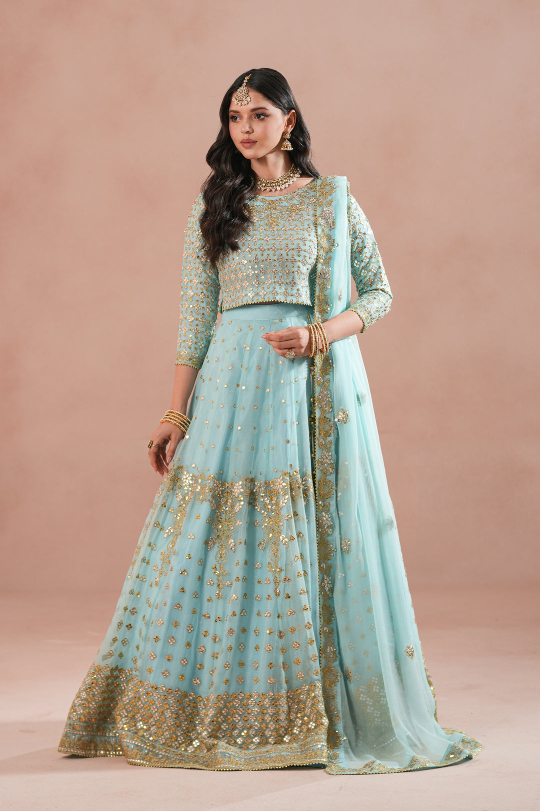 Sky Blue Royal Embroidered Chiffon Lehenga For Women