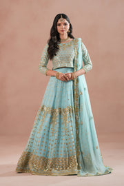 Sky Blue Royal Embroidered Chiffon Lehenga For Women