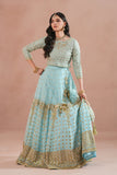 Sky Blue Royal Embroidered Chiffon Lehenga For Women