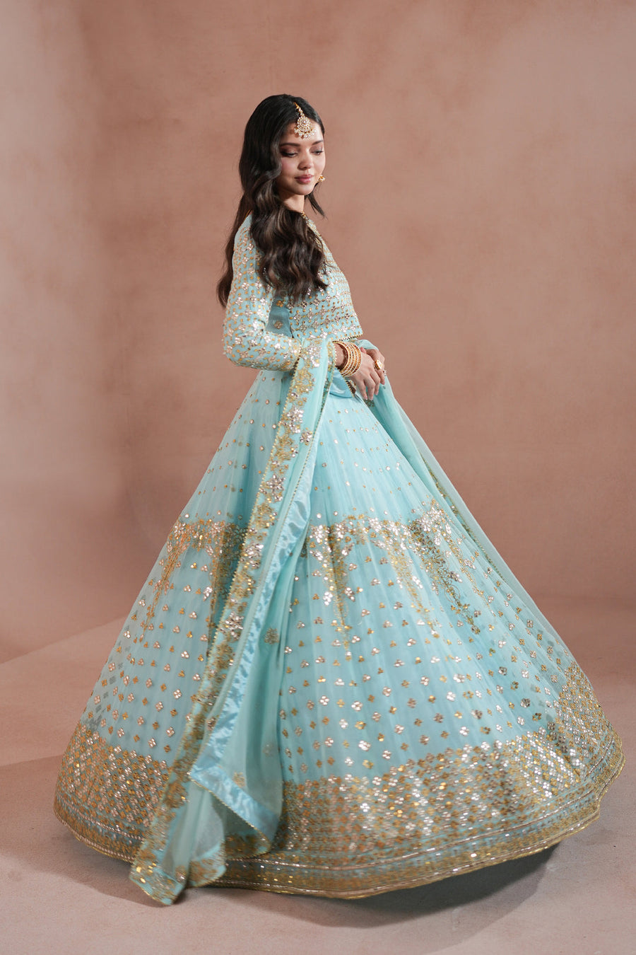 Sky Blue Royal Embroidered Chiffon Lehenga For Women
