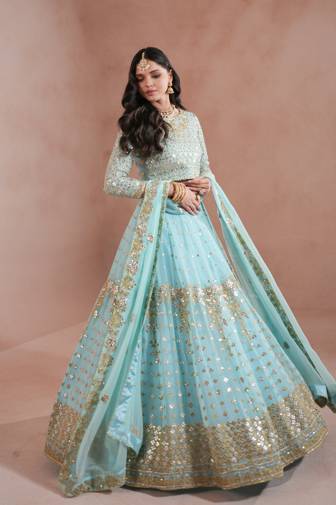 Sky Blue Royal Embroidered Chiffon Lehenga For Women