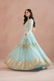 Sky Blue Royal Embroidered Chiffon Lehenga For Women