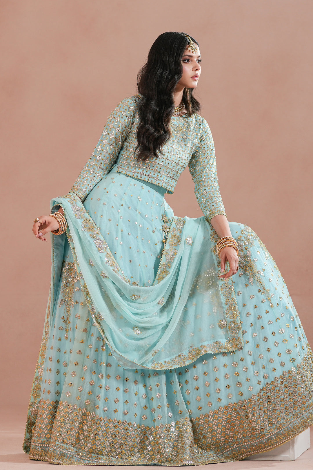 Sky Blue Royal Embroidered Chiffon Lehenga For Women