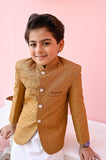 Majestic Golden Embroidered Prince Coat For Boys