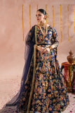 Blue Royal Embroidered Raw Silk Lehenga For Women
