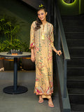 Modern Grace Dull Raw Silk Kaftaan For Women