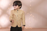 Luxurious Beige Prince Coat For Boys