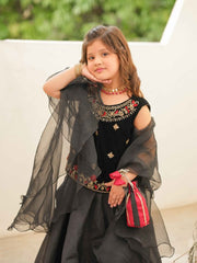 Erha Lehenga Choli - Regal Elegance Redefined For Girls