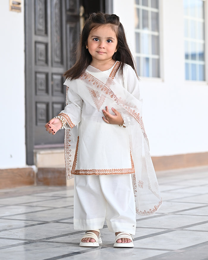 Luxury Embroidered Lawn Suit with Organza Dupatta For Girls