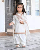 Luxury Embroidered Lawn Suit with Organza Dupatta For Girls