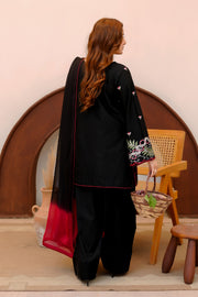 Black Embroidered Lawn 2 Piece Suit For Women