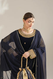 Navy Blue Velvet Royal Sharara Suit For Women